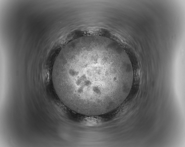 X0000085730703200703161006