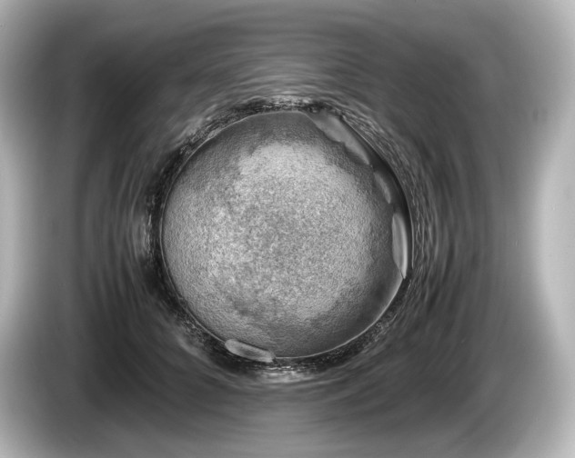 X0000085730704200703161006