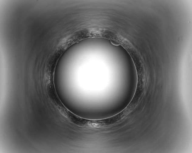 X0000085730706200703161006