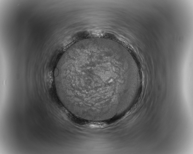 X0000085730707200703161006