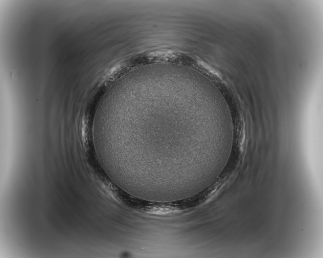 X0000085730708200703161006