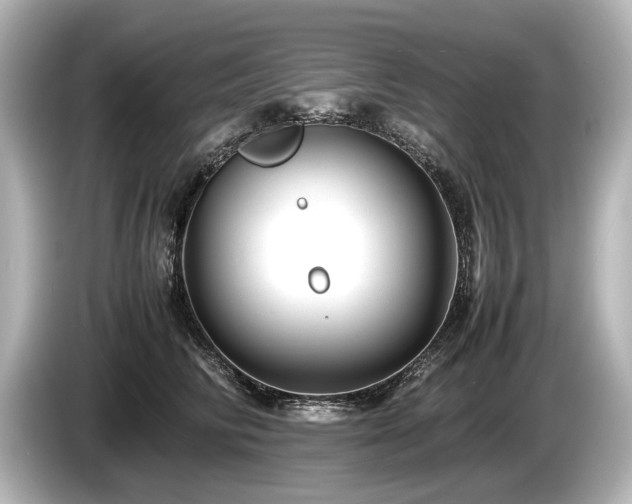 X0000085730710200703161006