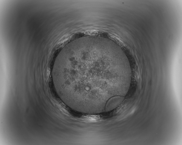 X0000085730711200703161006