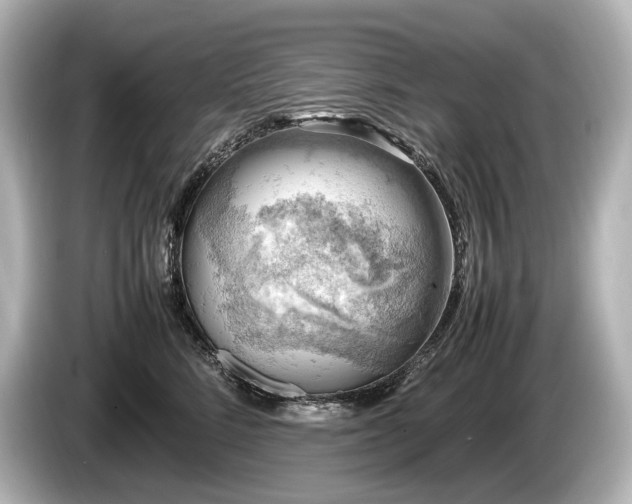 X0000085730712200703161006