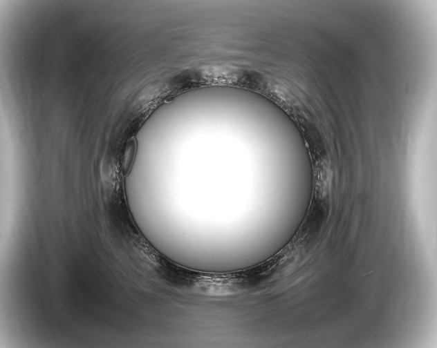 X0000085730713200703161006