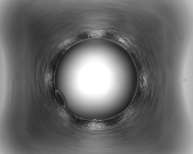 X0000085730714200703161006