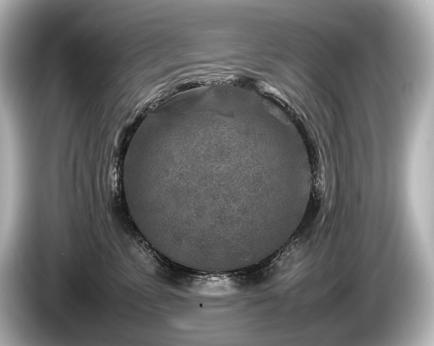 X0000085730715200703161006