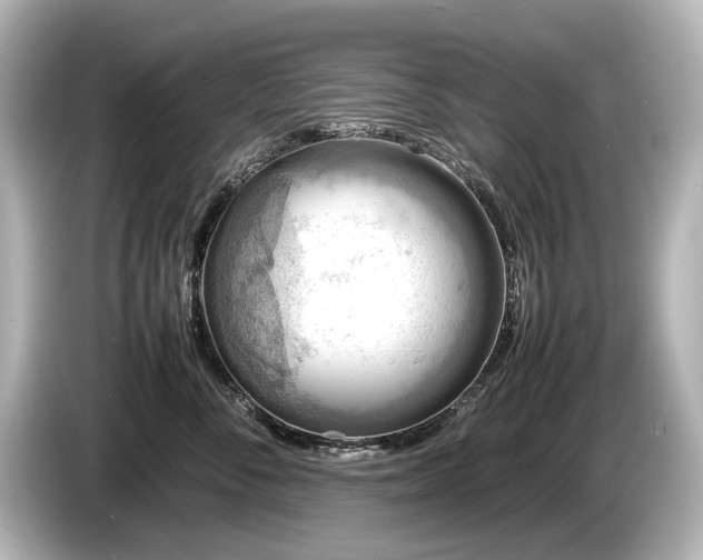 X0000085730716200703161006