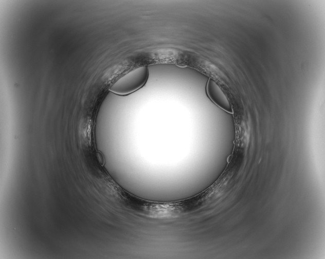 X0000085730717200703161006