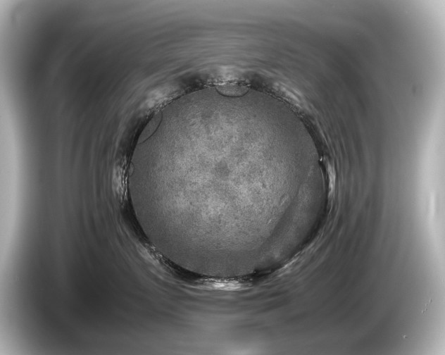 X0000085730719200703161006