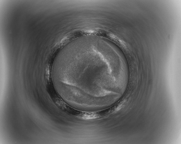 X0000085730720200703161006