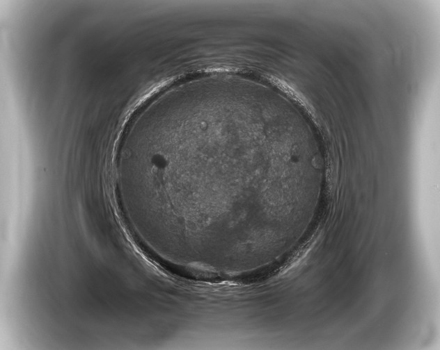 X0000085730721200703161005