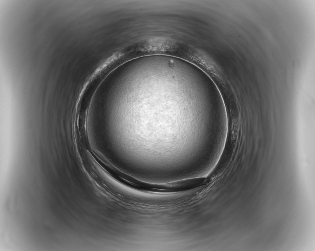 X0000085730722200703161005