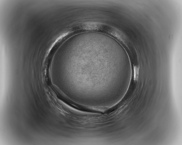 X0000085730723200703161005