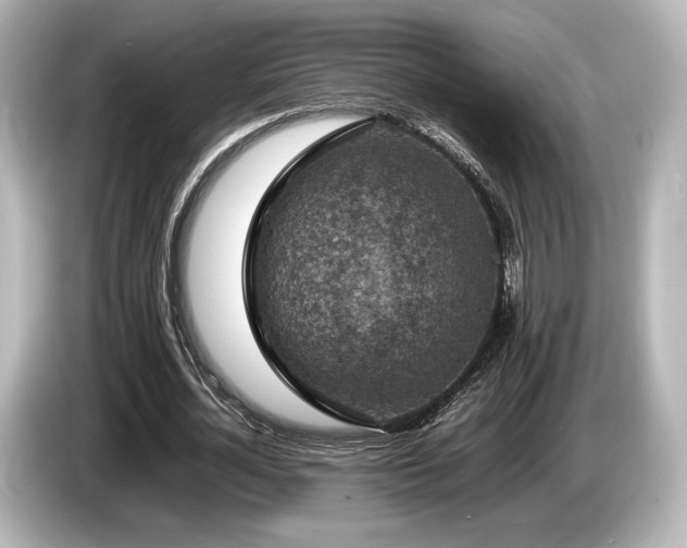 X0000085730724200703161005