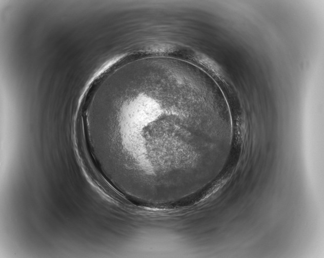 X0000085730726200703161005