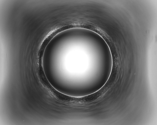 X0000085730727200703161005