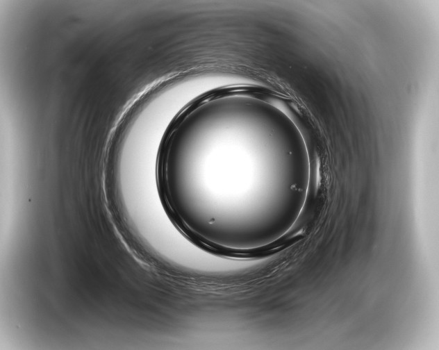 X0000085730728200703161005