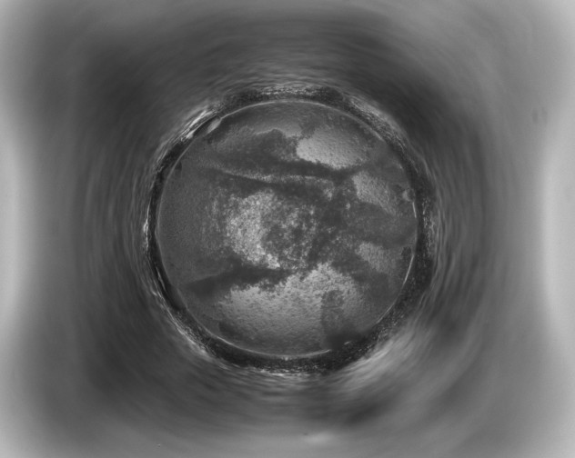 X0000085730729200703161005