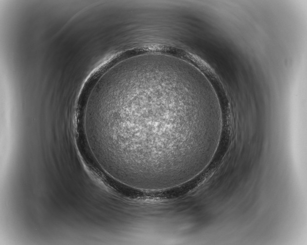 X0000085730730200703161005