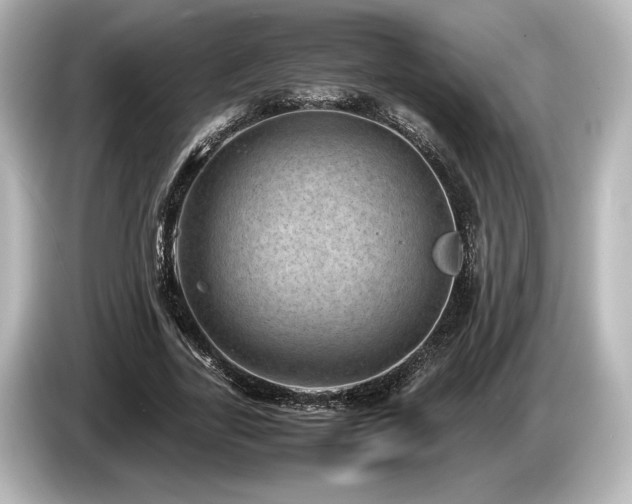 X0000085730731200703161005