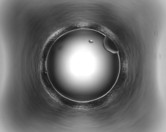 X0000085730732200703161005