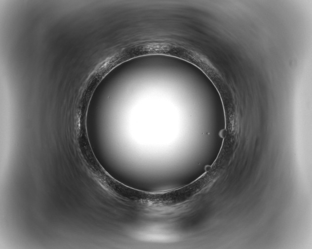 X0000085730733200703161005