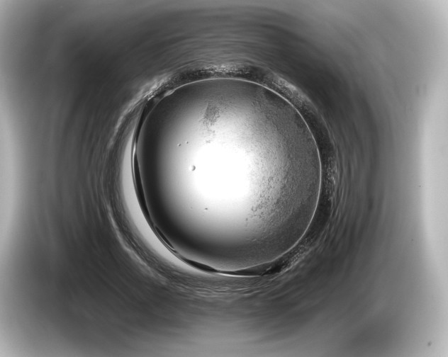 X0000085730734200703161005