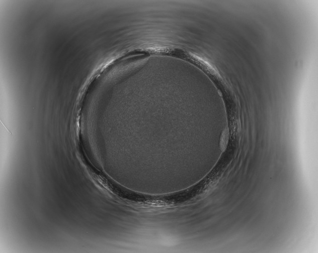 X0000085730736200703161005