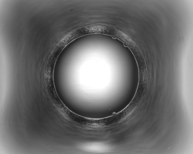 X0000085730737200703161005