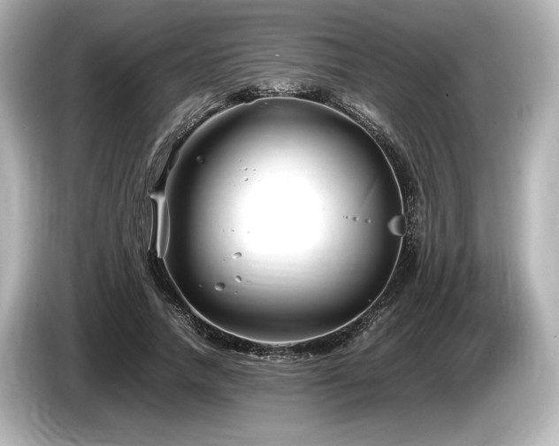 X0000085730738200703161005