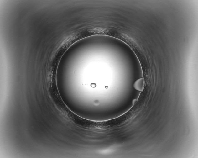 X0000085730739200703161005