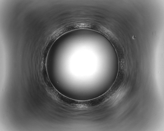 X0000085730741200703161005