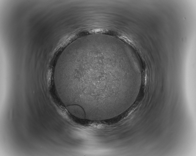 X0000085730742200703161005