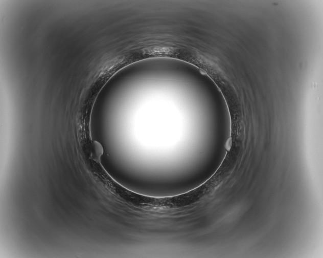 X0000085730743200703161005