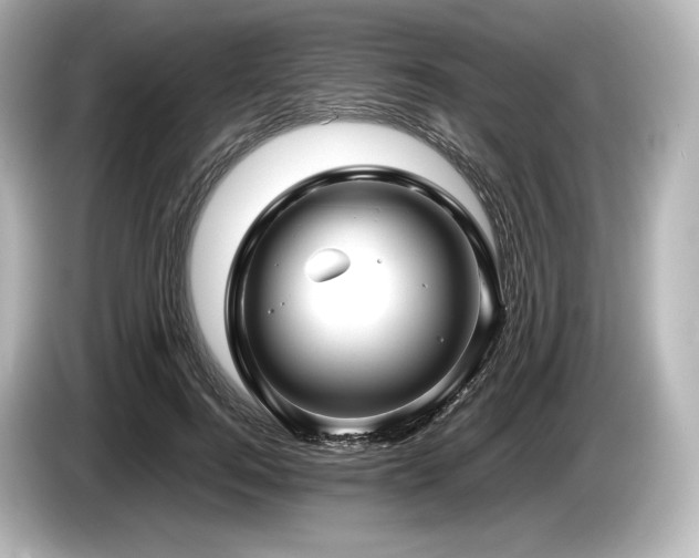 X0000085730744200703161005