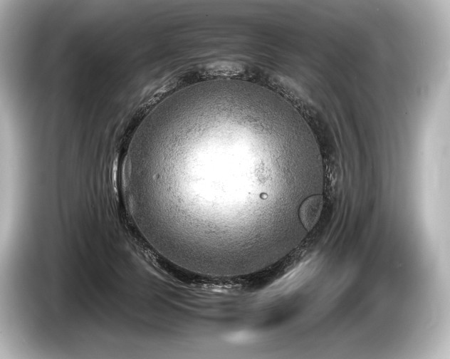 X0000085730745200703161005