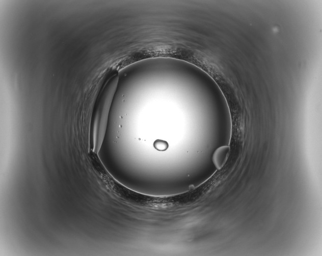 X0000085730746200703161005