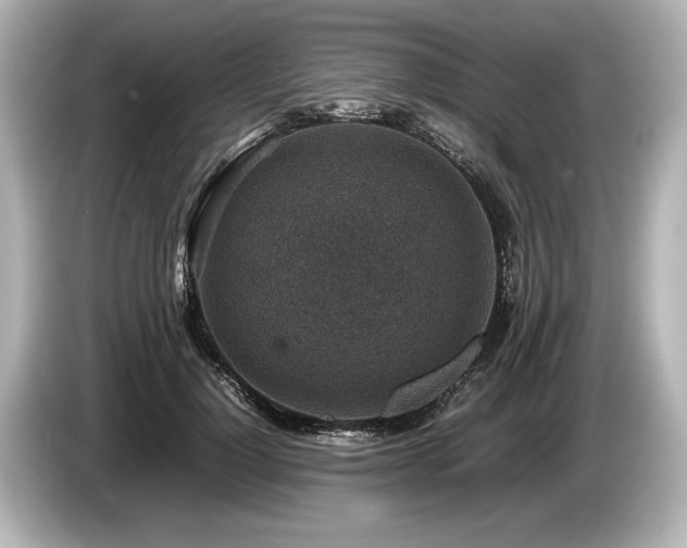 X0000085730748200703161005