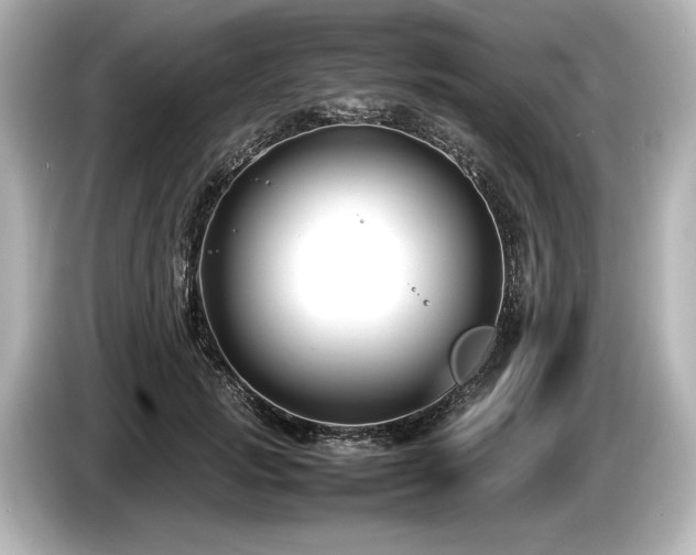 X0000085730749200703161005