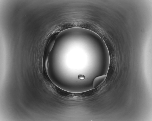 X0000085730750200703161005