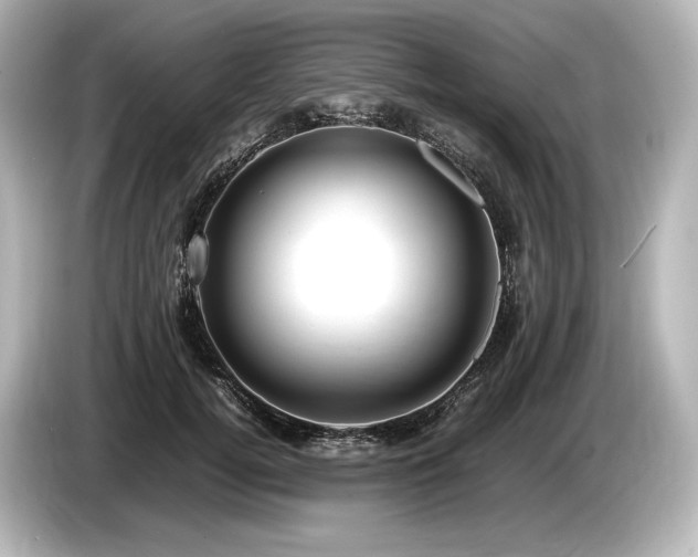 X0000085730752200703161005