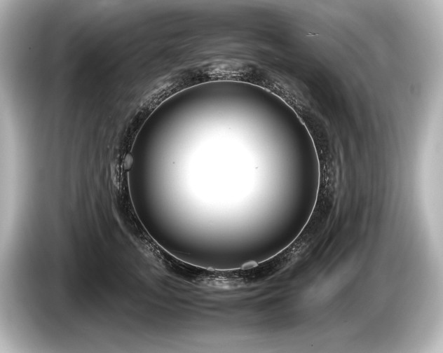 X0000085730755200703161005