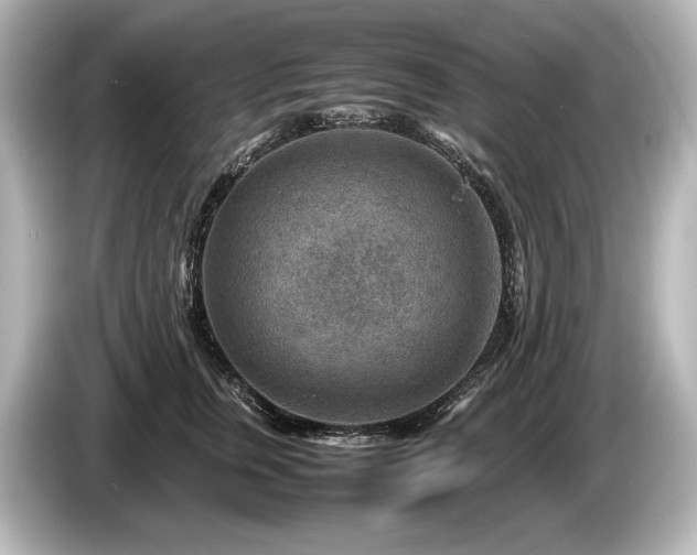 X0000085730759200703161005