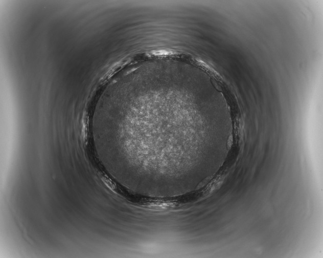 X0000085730760200703161005