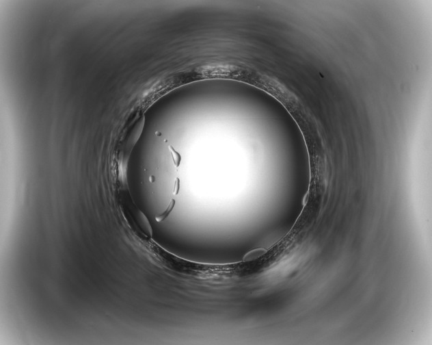 X0000085730761200703161005