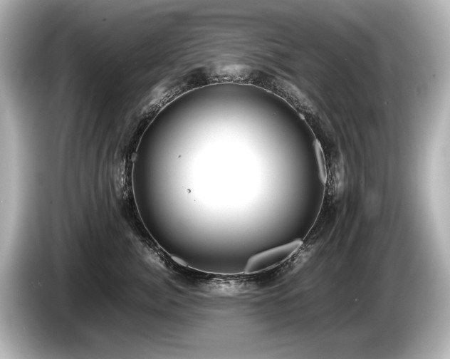 X0000085730764200703161005