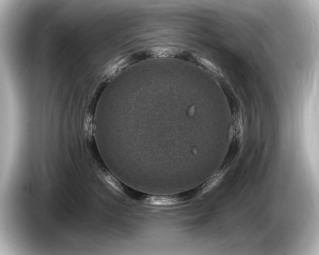 X0000085730766200703161006