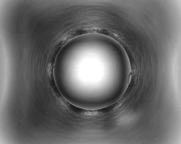 X0000085730767200703161006