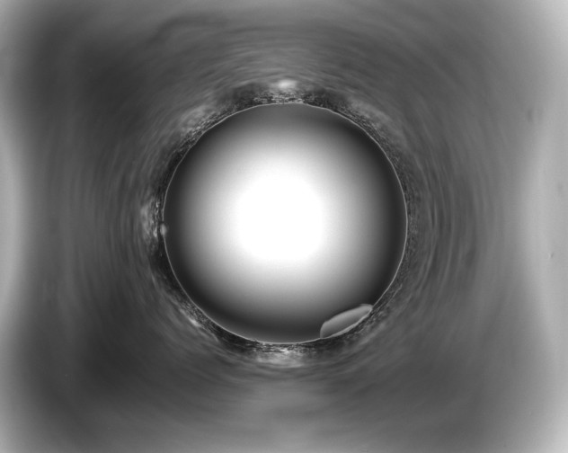 X0000085730768200703161006